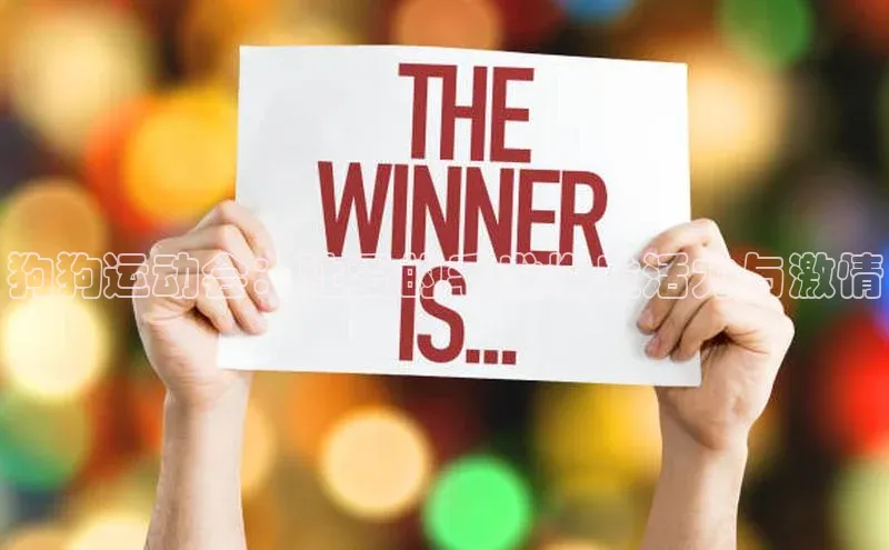 狗狗运动会：让爱的毛发焕发活力与激情