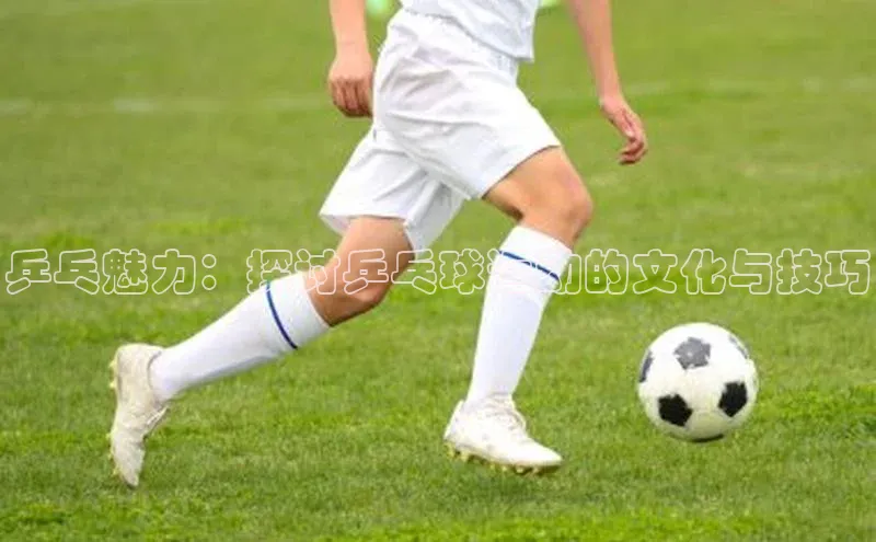 乒乓魅力：探讨乒乓球运动的文化与技巧