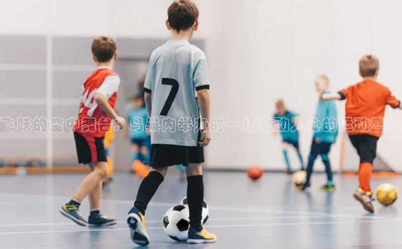 飞跃的空中舞台：鸟巢内举办的一场激动人心的运动盛宴