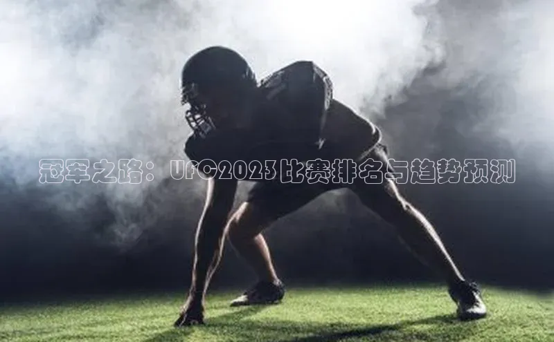 冠军之路：UFC2023比赛排名与趋势预测