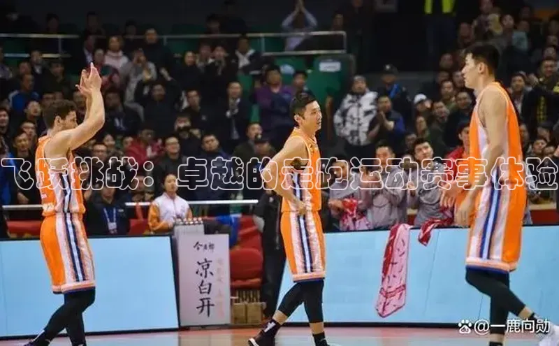 飞跃挑战：卓越的走跑运动赛事体验