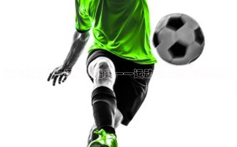 活力四射：一场体育盛宴——运动会的精彩赛事播报