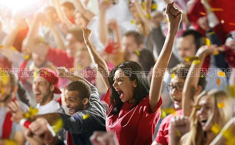 辽宁运动会：荣耀与竞技的盛宴——精彩赛事回顾与展望