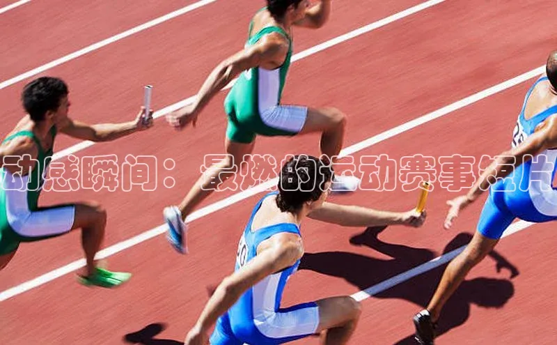 3377体育app登录入口手机版