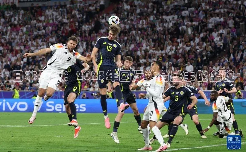 日本风采：2023年国际体育盛事的全貌