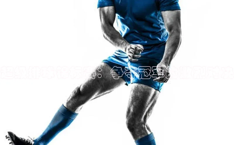 超级排球锦标赛：争夺冠军的激烈对决