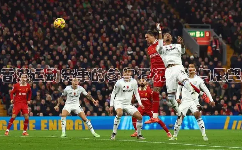 香港运动赛事的参与情况分析与展望