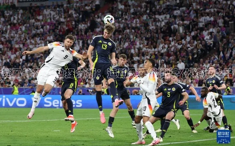 赛事管理与数据分析：运动赛事的数字化转型之路