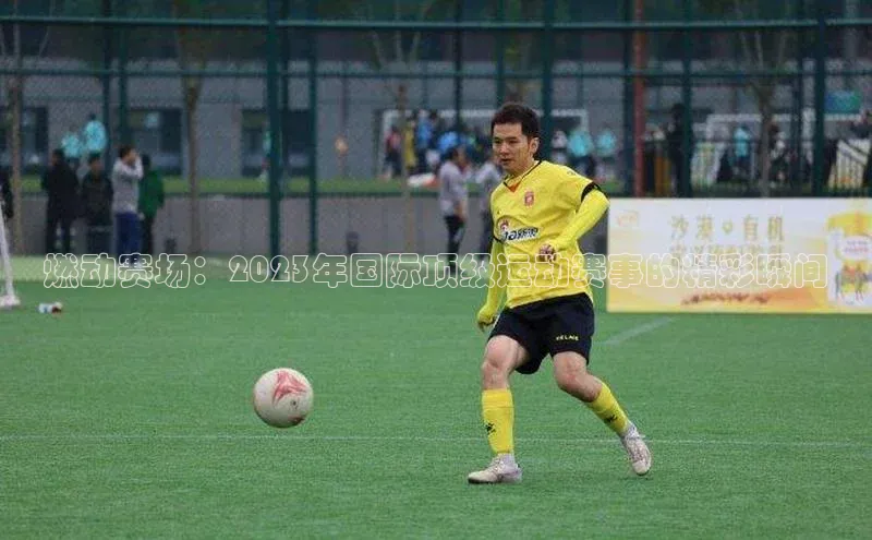 燃动赛场：2023年国际顶级运动赛事的精彩瞬间