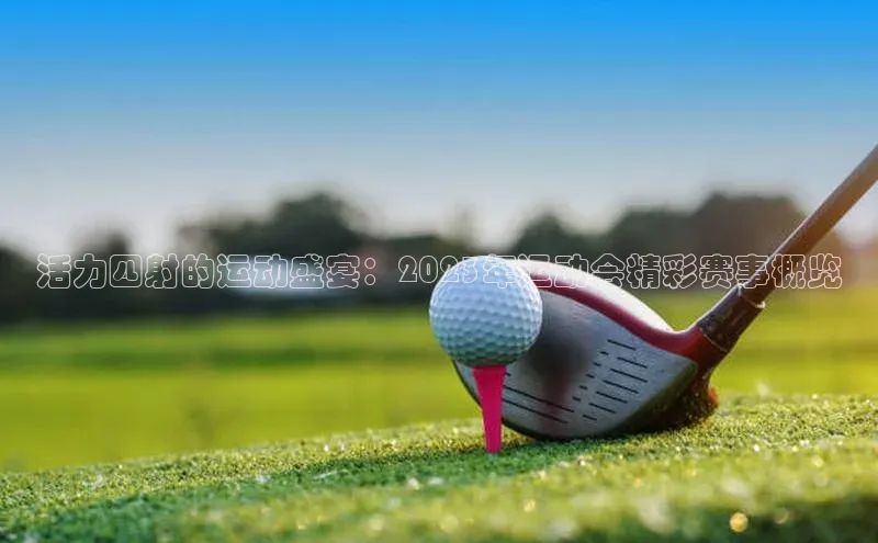 活力四射的运动盛宴：2023年运动会精彩赛事概览