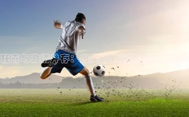 3377体育app官网下载地址