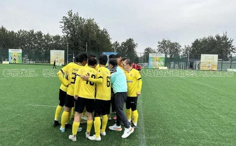 3377体育网站入口下载