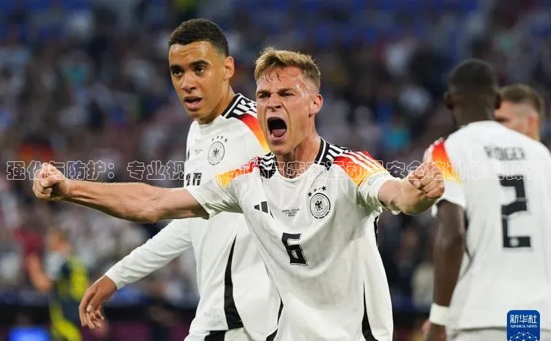 3377体育官网下载