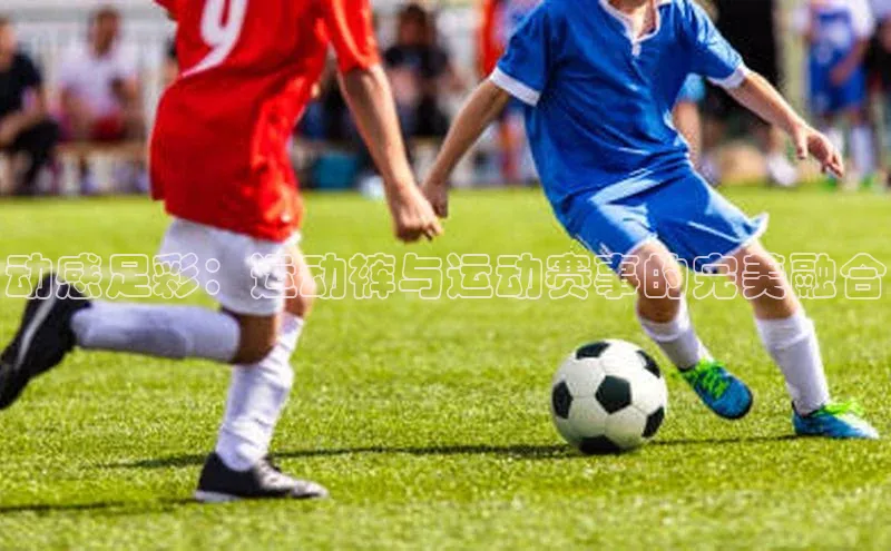 3377体育app官方网站