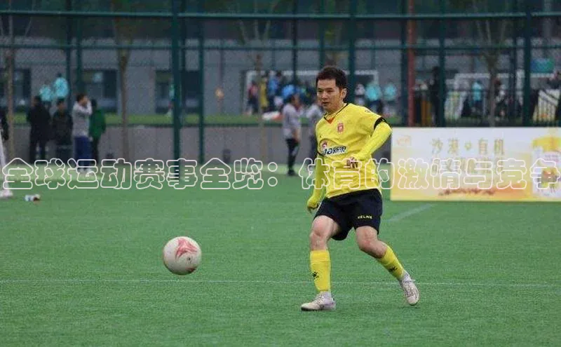 3377体育app登录入口手机版