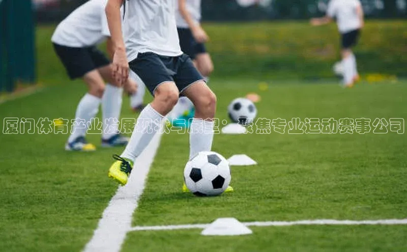 厦门体育产业发展现状与展望：聚焦专业运动赛事公司