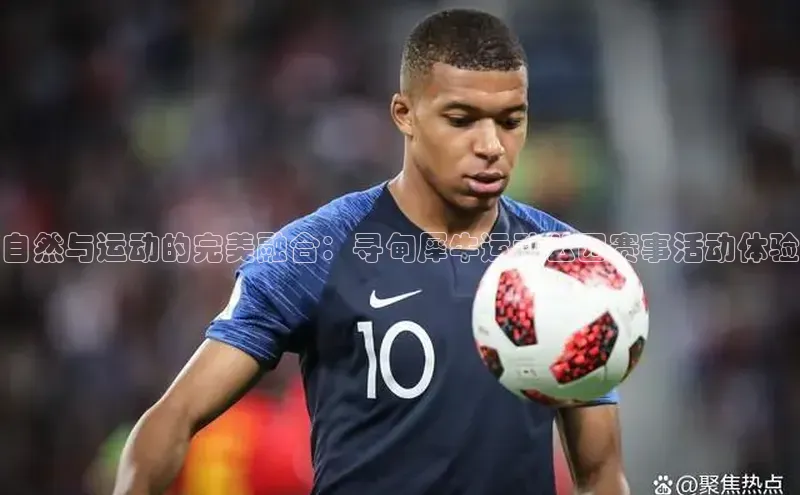 3377体育网站入口下载