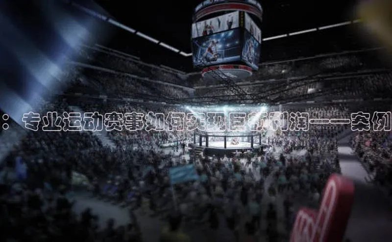 ：专业运动赛事如何实现巨额利润——案例