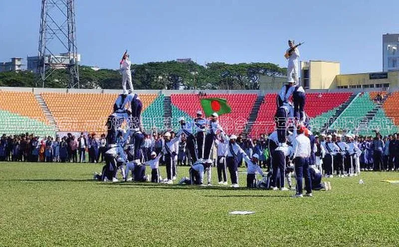 运动的盛宴：一场视觉与竞技的完美融合——运动赛事的深度点评