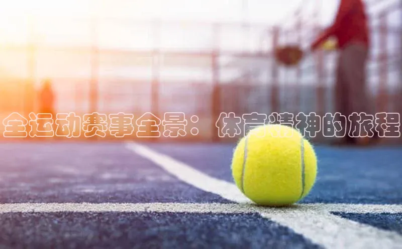 3377体育app登录入口手机版